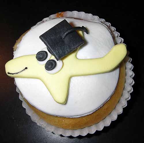 Flugzeugmuffins - Arbeitsaufwand: 9 Std.(40 Stk)