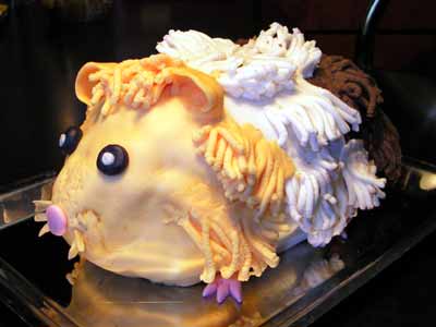 Für die Meerschweinliebhaberin - Arbeitsaufwand: 7 Std.