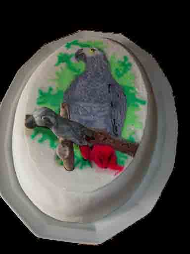 Der Lieblingspapagei von Petra - Arbeitsaufwand: 6 Std.