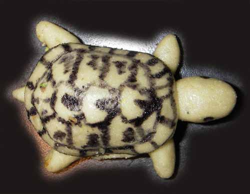 Schildi-Kuchen - Arbeitsaufwand: 5 Std.